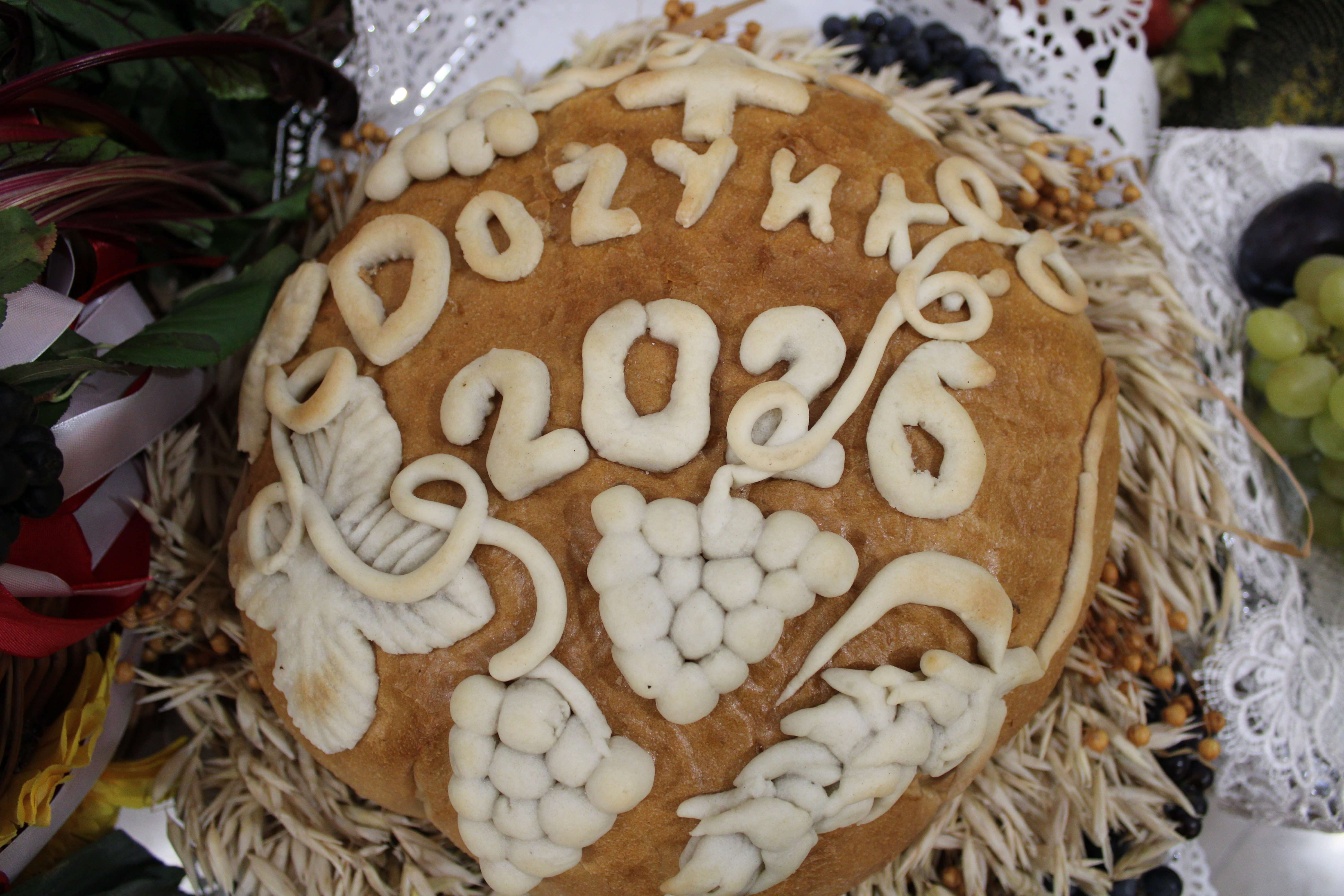 Zbiory 2026 - Zdjęcie 2